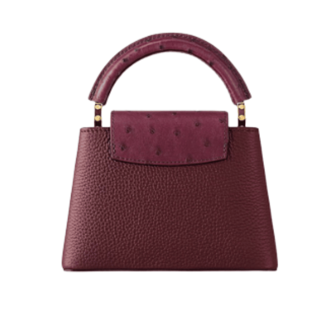 Louis Vuitton | Capucines East-west Mini Bag In Crinkled Grenat Red Leather With Gold-toned Hardware - Free & Fast UAE Shipping
