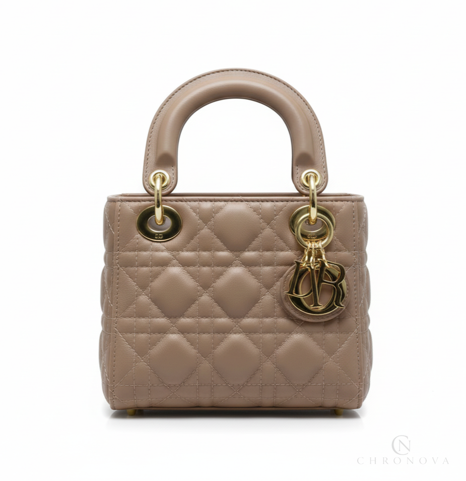 Dior | Mini Lady Bag - Free & Fast UAE Shipping