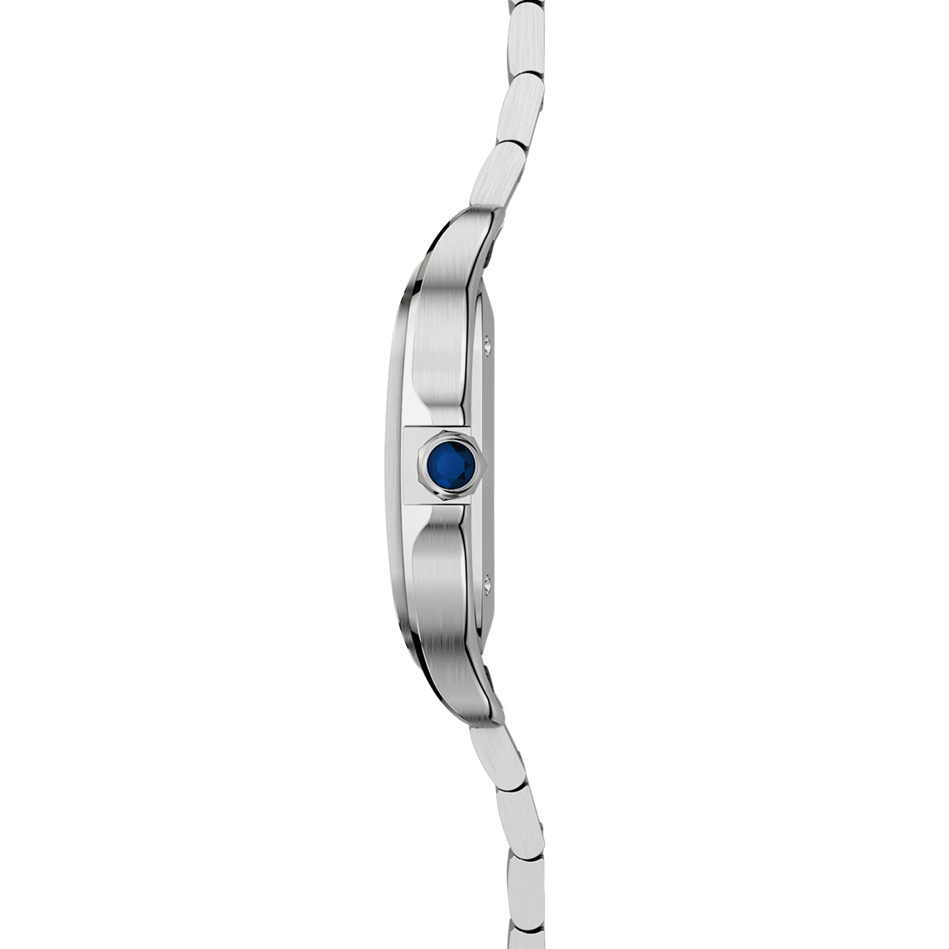Cartier Santos de Cartier Stainless Steel Silvered Watch