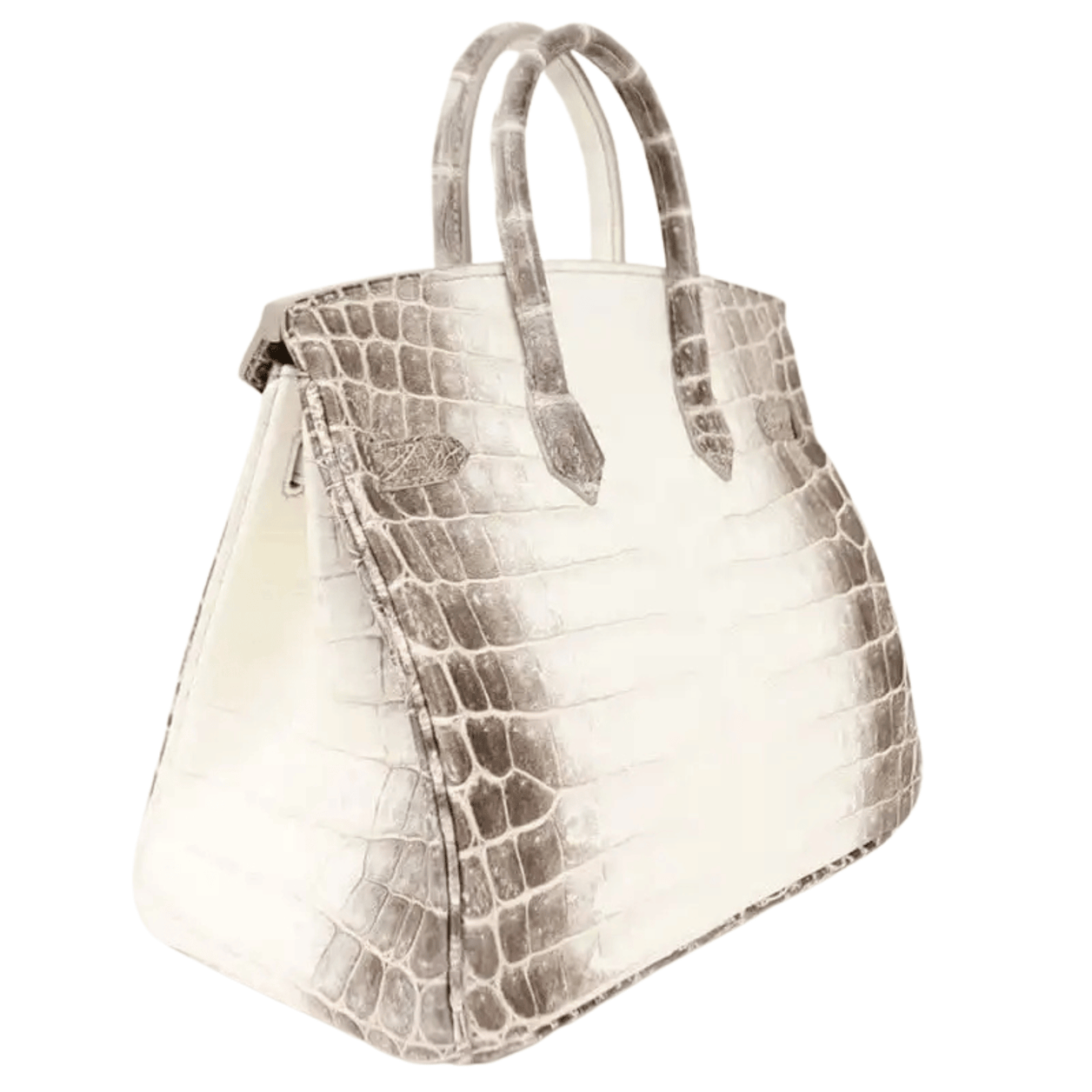 Hermès | Birkin 30 Himalaya Niloticus Crocodile Handbag - Free & Fast UAE Shipping