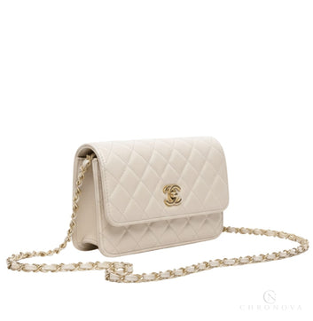 Chanel | Classic Flap Bag - Free & Fast UAE Shipping