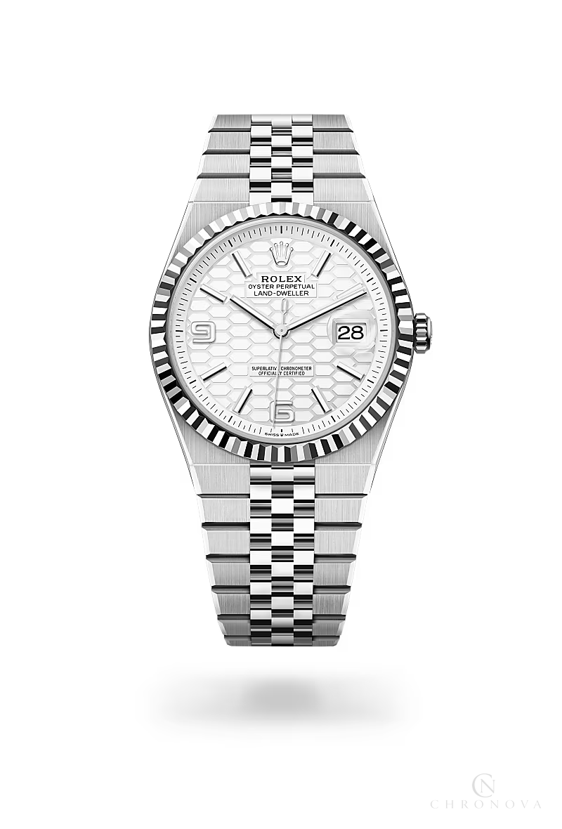 Rolex | Land-Dweller - Free & Fast UAE Shipping