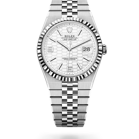 Rolex | Land-Dweller - Free & Fast UAE Shipping